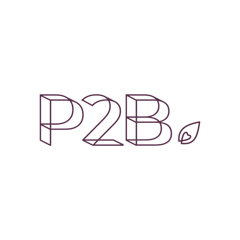 p2b_v2