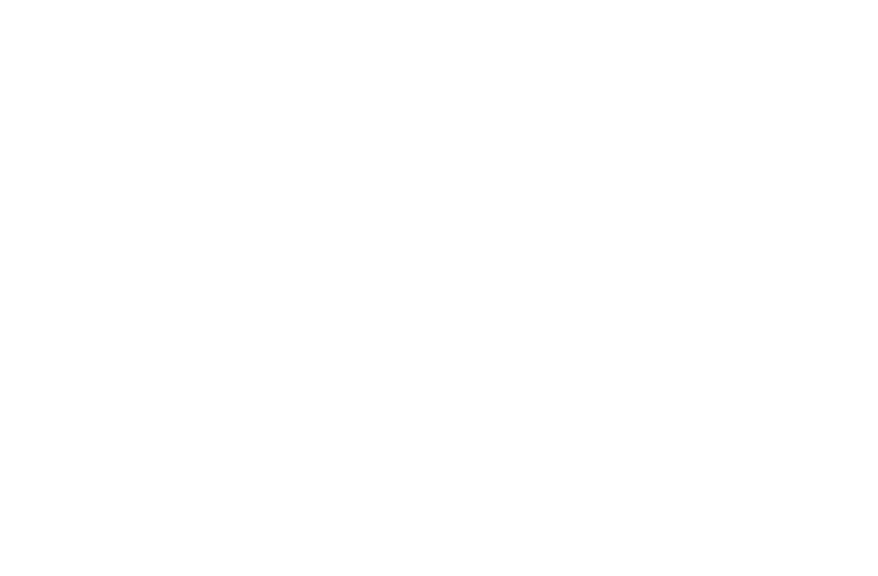 TreadLively_miniflag