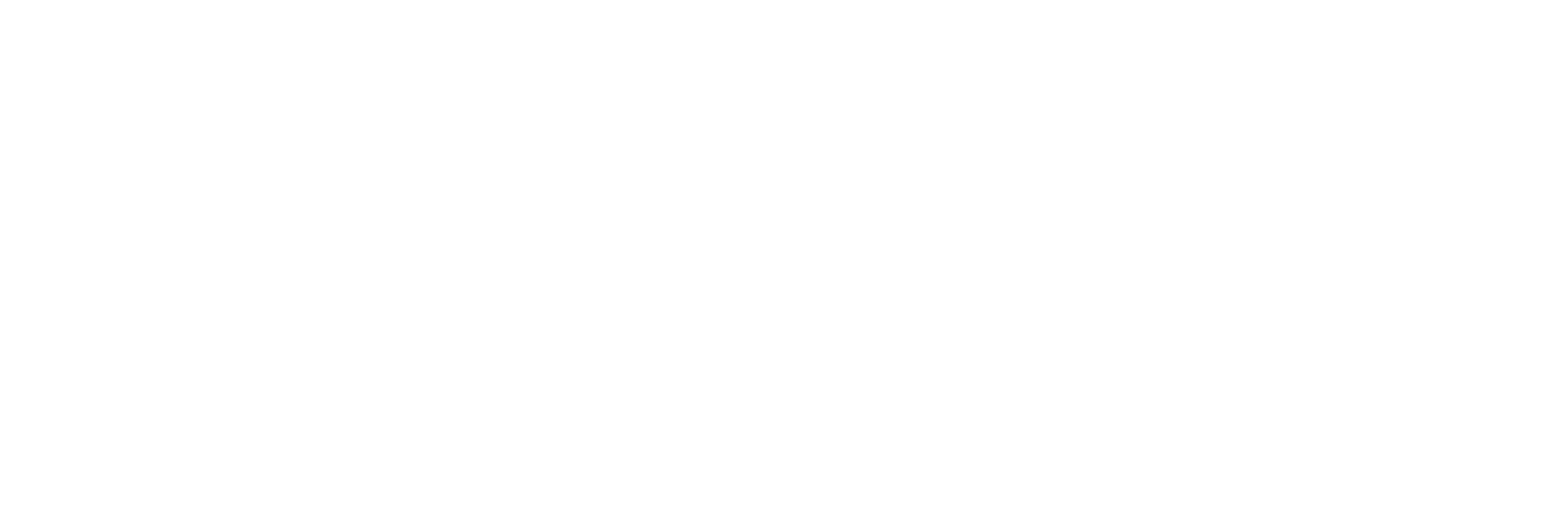 Fastlane_finallogo_horizontal