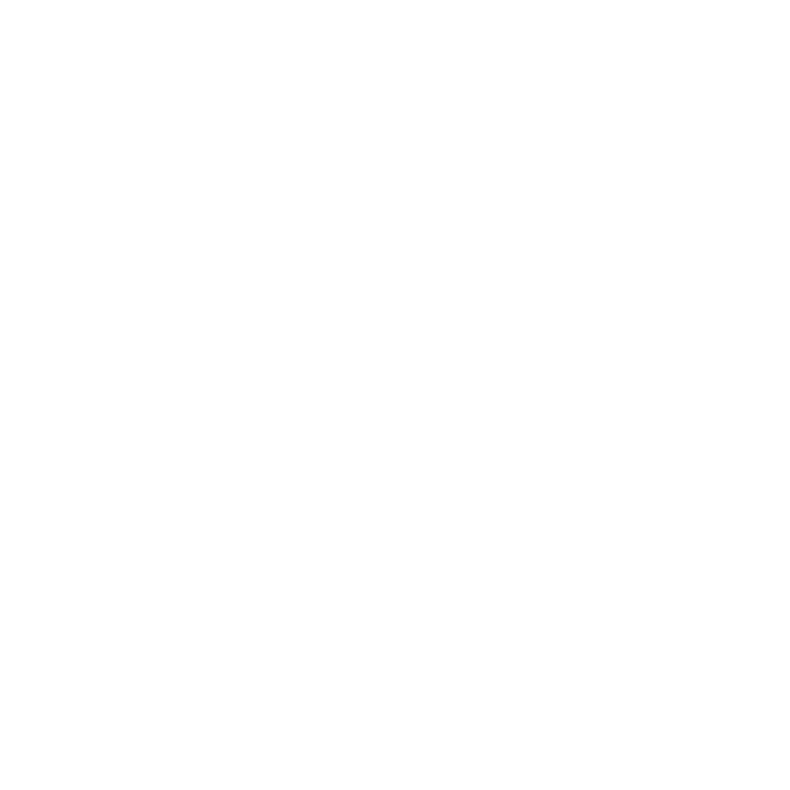 Fastlane_finallogo_vertical